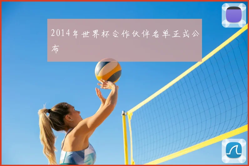 2014年世界杯合作伙伴名单正式公布