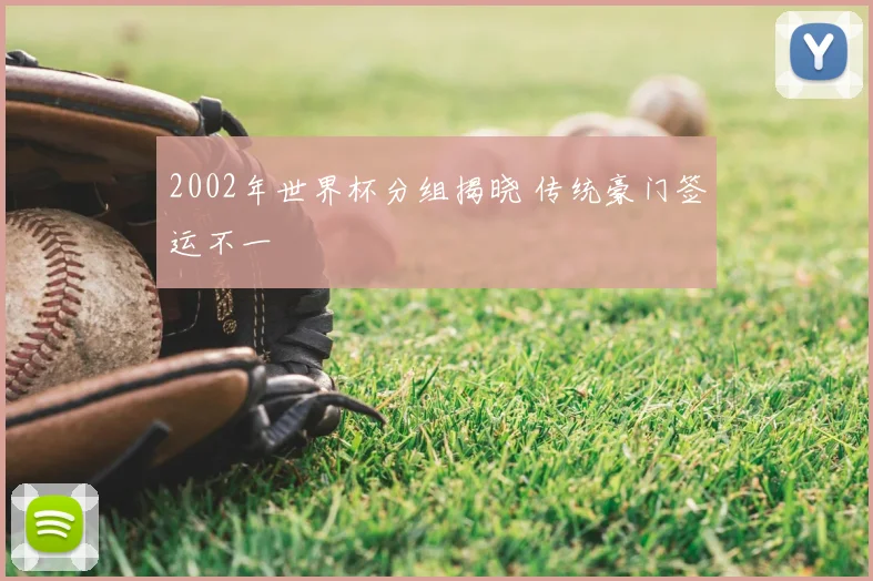 2002年世界杯分组揭晓 传统豪门签运不一