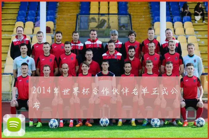 2014年世界杯合作伙伴名单正式公布