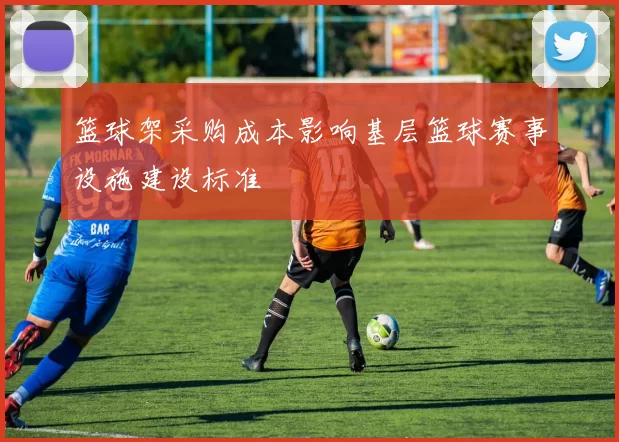 篮球架采购成本影响基层篮球赛事设施建设标准