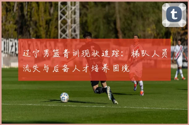 辽宁男篮青训现状追踪：梯队人员流失与后备人才培养困境