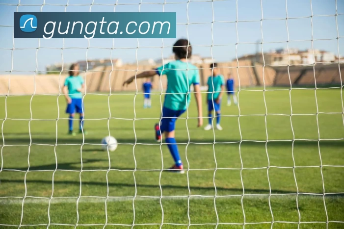 九游j9官网入口快速登录服务体系